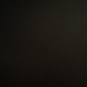 Meet your Posher, Allie